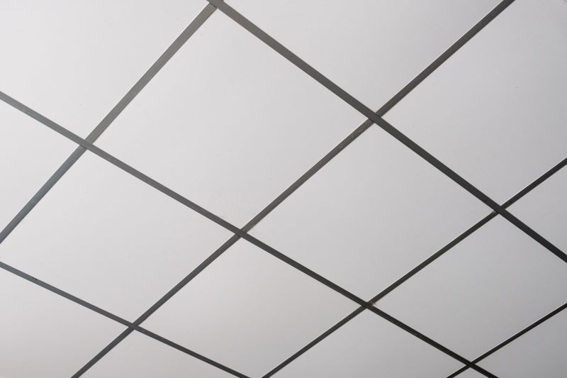 Suspended Ceilings Installation