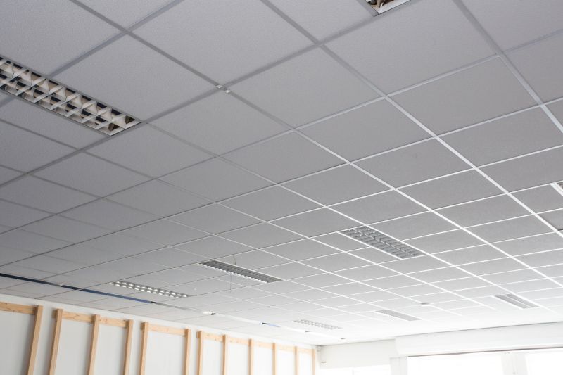 Grid Ceiling Installation in Boulder, CO